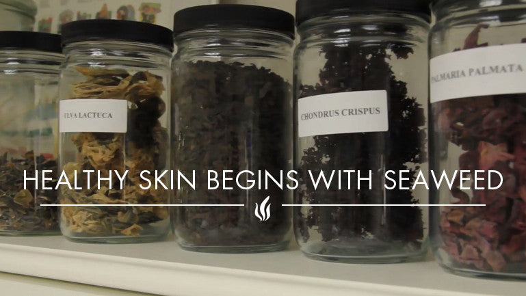 Repêchage - Healthy Skin Begins With Seaweed